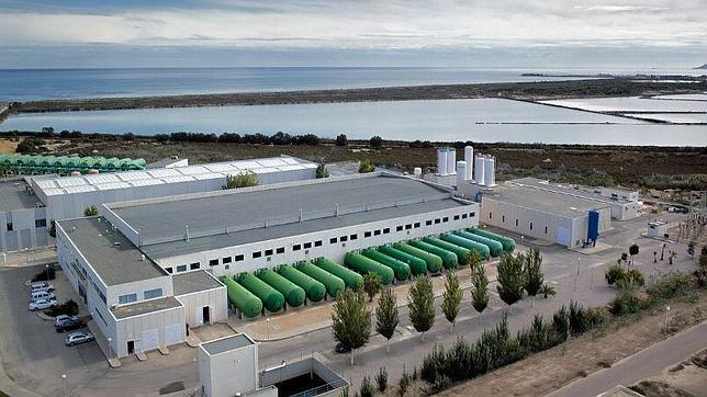 Un «malentendido» sobre su deuda hunde a Abengoa un 36% en la Bolsa