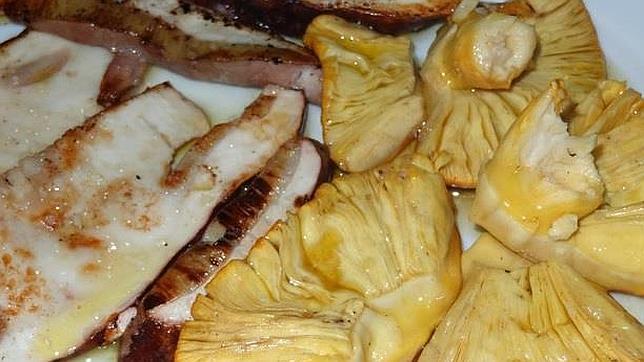 Boletus y amanita cesarea a la plancha, en José Vicente