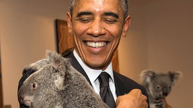 Un koala une a Obama y Putin en el G-20