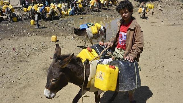 Un niño acarrea con un burro agua potable en unos bidones en la localidad yemení de Ibb