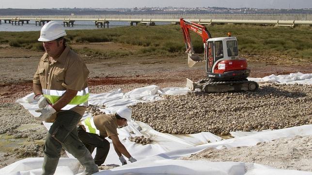 Ultimátum a Fertiberia para que presente el proyecto de regeneración de las marismas