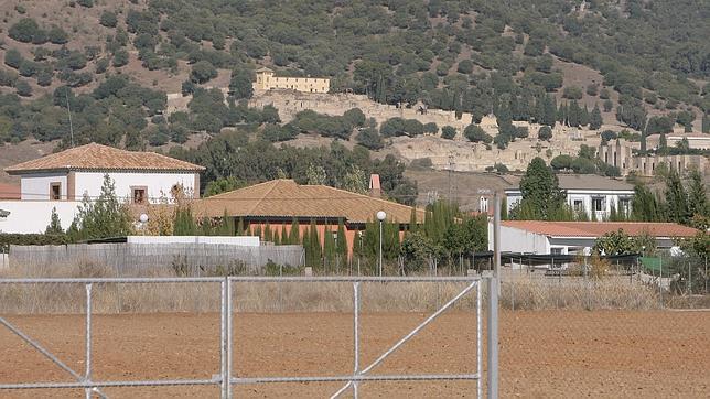 Nieto pide a la Junta un órgano sobre las parcelas de Medina Azahara