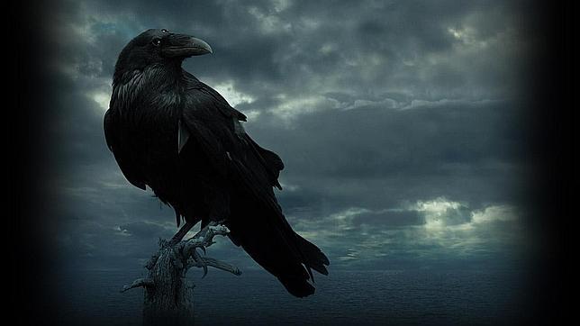 La imagen del cuervo da la bienvenida a la nueva web de «Juego de Tronos»