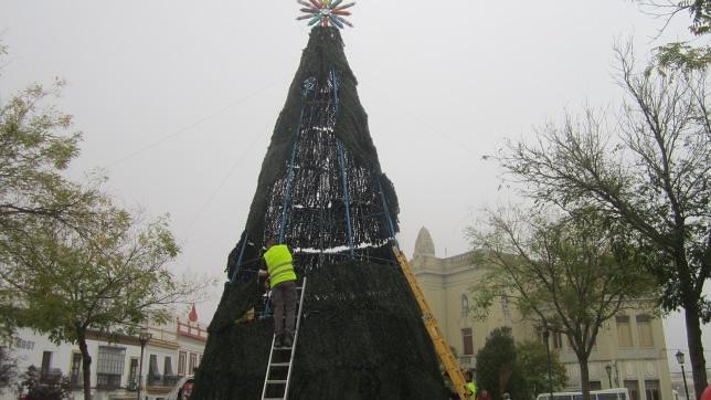 El montaje del árbol  del Paseo del Estatuto preludia la Navidad en Carmona