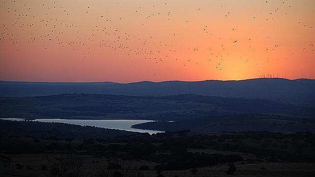 El embalse de Santa Teresa desde Narrillos del Álamo, Ávila