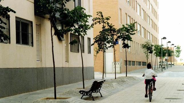 Varios niños juegan alrededor de unas acacias en Leganés