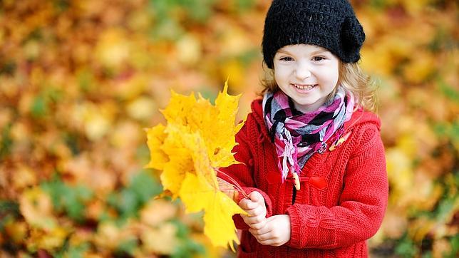 ¿Por qué en otoño las hojas de los árboles son rojas en América y amarillas en Europa?