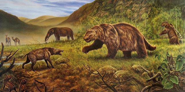Hace unos 125.000 años, gigantescos mamíferos ocuparon Alaska. En la imagen, el mastodonte, el perezoso de tierra, el pecarí de cabeza plana y el camello occidental