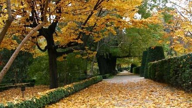 El Jardín Botánico pone el otoño a tus pies