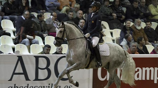 El caballo español también brilla en los deportes