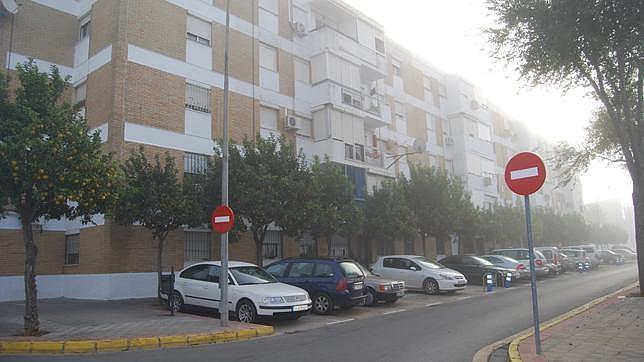 Polémica por el mantenimiento de la barriada de Las Torres de Dos Hermanas