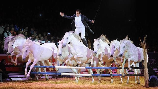 El espectáculo pone broche final hoy al salón internacional del caballo