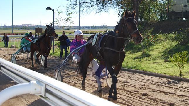 Singular arranque de la temporada de carreras en el Hipódromo con las pruebas de trote