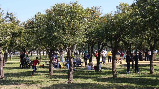 La luz llega al parque del V Centenario de Utrera