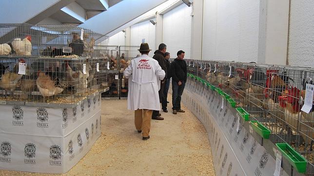 Todo preparado para la Feria de la Gallina de Utrera