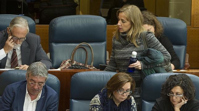 Tania Sánchez, en la Asamblea, junto al portavoz de IU Gregorio Gordo