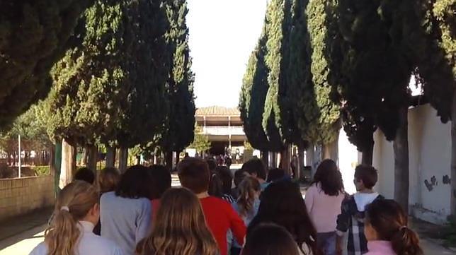 La felicitación de Navidad del Colegio Aljarafe consigue miles de visualizaciones en unas horas