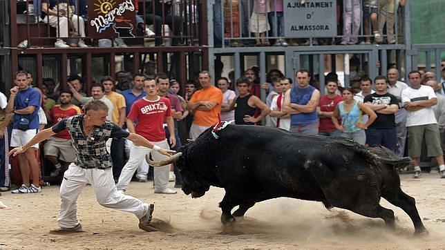 La Generalitat crea los Premios Taurinos Comunitat Valenciana