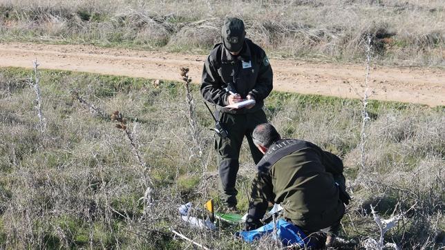 Localizan cebos envenenados y cadáveres de fauna silvestre