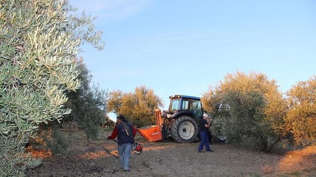 El «sinvivir» del campo