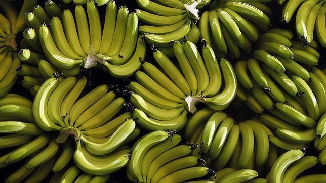 Interceptados más de 76 kilos de cocaína entre bananas