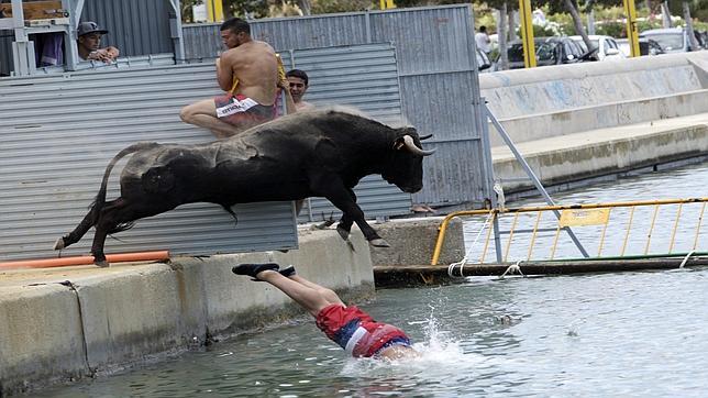 Una entidad animalista denunciará la celebración de festejos taurinos populares