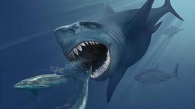 El gigantesco megalodón