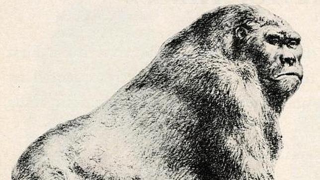 Recreación del Gigantopithecus blacki, que alcanzaba los 3 metros de altura