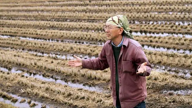 Shuzi Sato, un agricultor japonés de 48 años, se lamenta de la amenaza radioactiva sobre su plantación de arroz, en las afueras de Ichinoseki