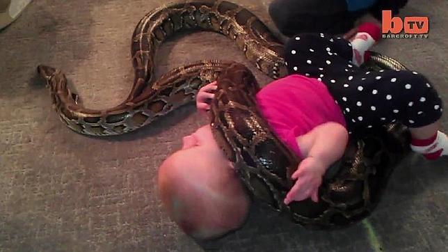 Así juega una niña de 14 meses con una peligrosa serpiente constrictora