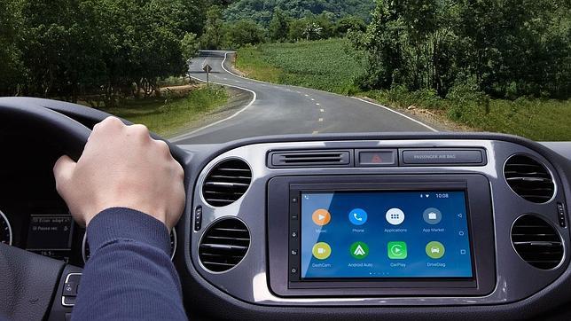 Detalle de Parrot RNB 6