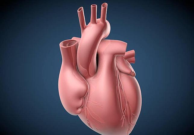 La detección de un gen facilitará el manejo de un cardiopatía familiar muy frecuente