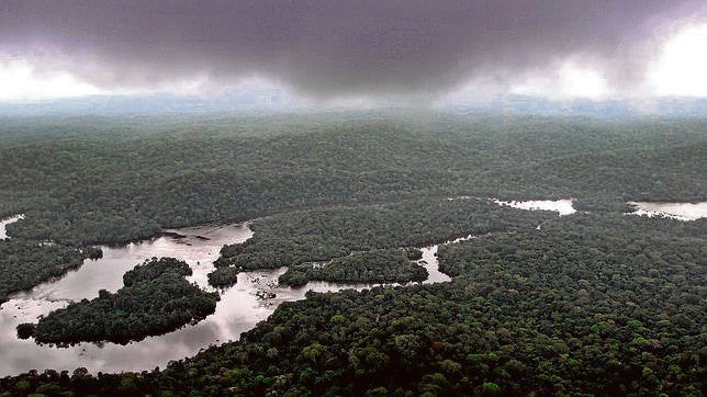 Gabón: la biodiversidad como motor de desarrollo