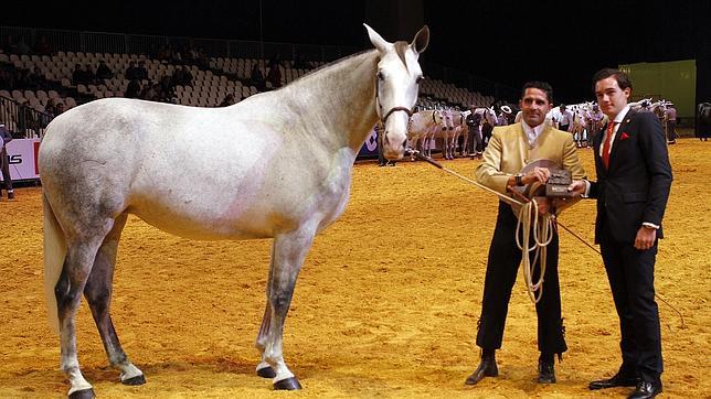 Caldera y Remondo: los caballos de la Transición son alemanes