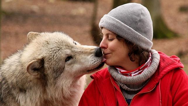 El lobo bueno que tu perro lleva dentro