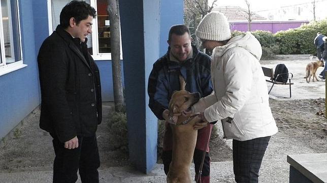 Teresa Romero y su marido adoptan una perra del Ayuntamiento de Alcorcón