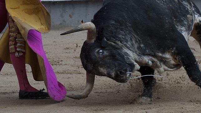 Diferencias entre el toro que desea el torero y el toro que añora el aficionado