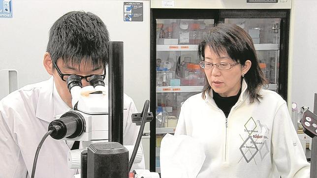 Las innovaciones médicas que vienen