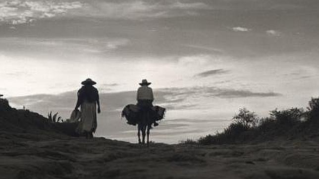 Cruce de sangres y de vientos