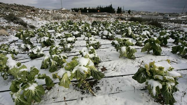 La cota de nieve bajará este miércoles a 200 metros en Castellón