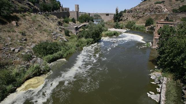 Un estudio afirma que el Tajo, como otros ríos de Europa, se puede recuperar