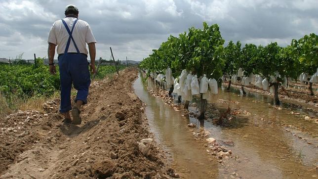 Un informe de la ONU alerta de las consecuencias del cambio climático en la región