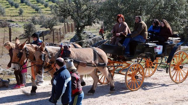 Talavera se vuelca con la romería de Santa Apolonia