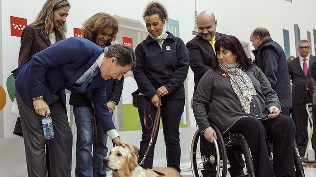 Madrid ampliará el acceso a lugares públicos a todos los perros de asistencia a discapacitados