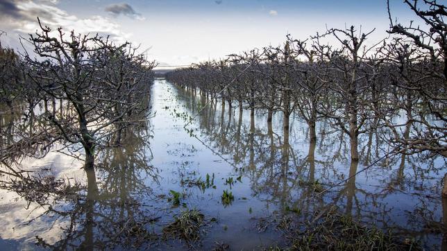 El Ebro gana en una semana tres veces más agua que las desaladoras en un año