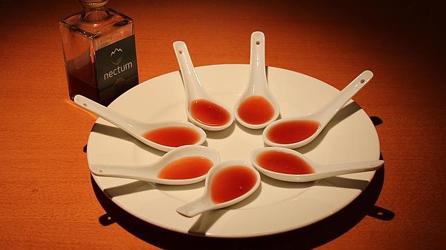 Jarabe de abeto Nectum