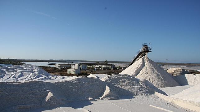 Salinas del Odiel compra la fábrica Ercros en Huelva