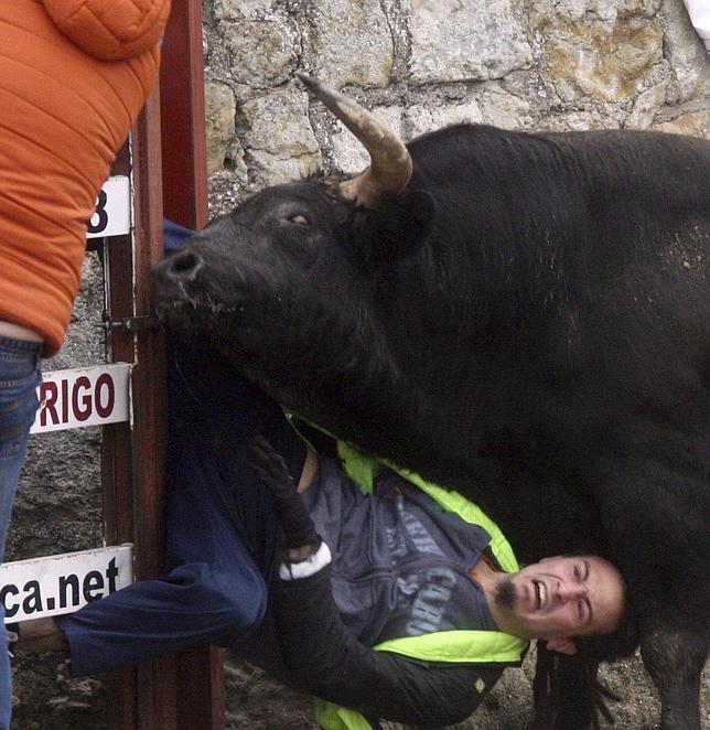 Un escocés, un estadounidense y un salmantino, heridos graves en un encierro de toros