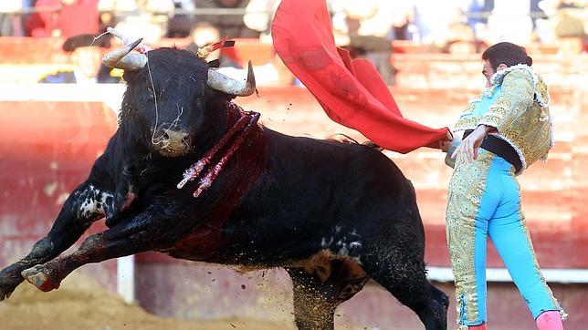 Todas las corridas de Fallas, por 122 euros