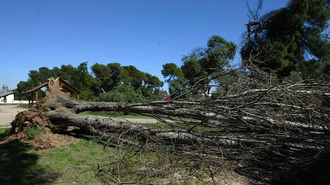 La localidad de Fredes alcanza rachas de viento de 98 kilómetros por hora